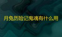 月兔历险记鬼魂有什么用