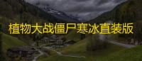 植物大战僵尸寒冰直装版下载 v0.4 人气热度：15℃