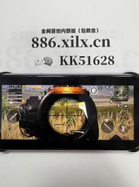 自在逍遥：风起